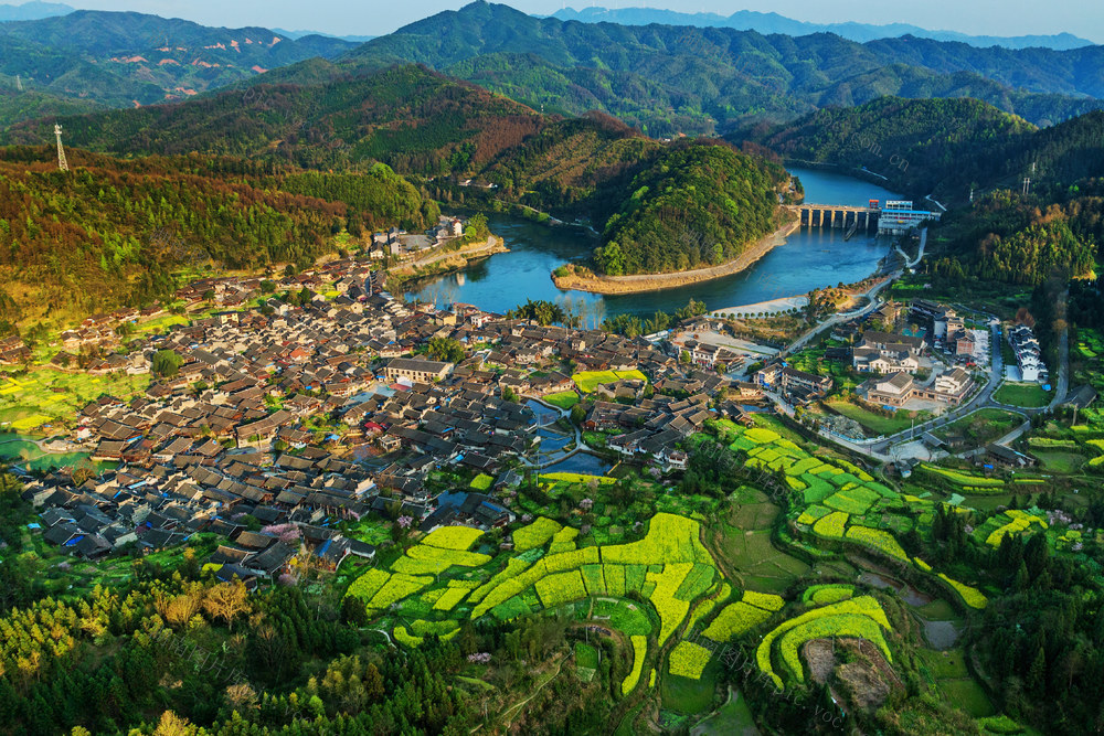 高椅古村 春色 花