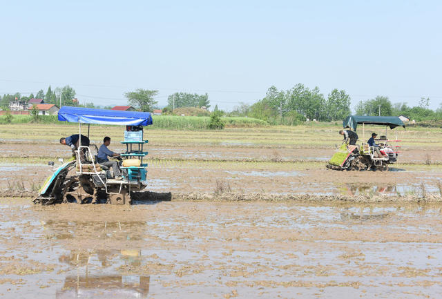  Cross regional cooperation of machinery planting of agricultural early rice in Hunan and Henan