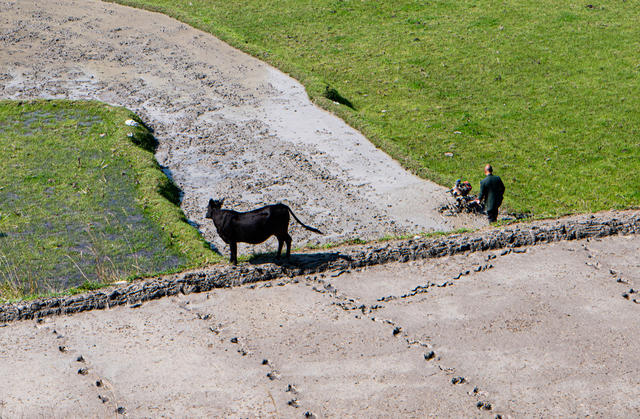 农业  农村  稻田  梯田  春耕   乡村振兴   怀化会同