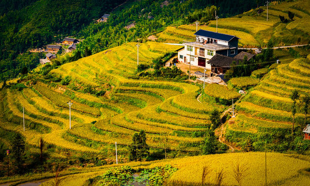 稻田 梯田 农村  农业  旅游  怀化溆浦 