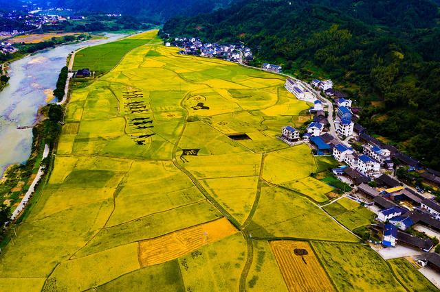 稻田 梯田 农村  农业  旅游  怀化溆浦 