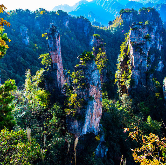 云雾  朝霞  晚霞  武陵源  天子山  张家界