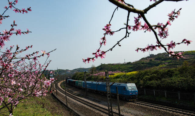 铁路  高铁  普铁  鲜花  油菜花  桃花  列车  怀化
