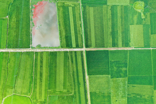 农业 农村 农民 新农民 青年农民