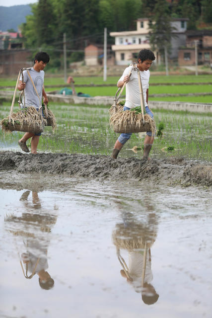 农业 农村 农民 新农民 青年农民