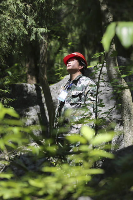 石漠化治理 石漠化 护林员 绿水青山 金山银山 环境