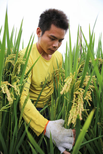 农业 农村 农民 新农民 青年农民