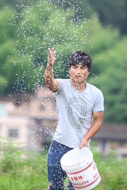 农业 农村 农民 新农民 青年农民