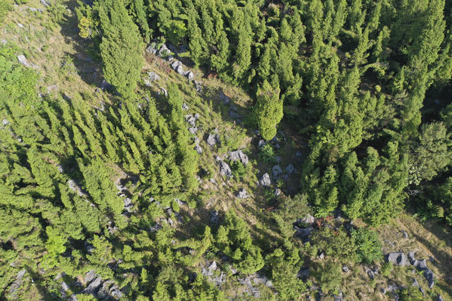 石漠化治理 石漠化 护林员 绿水青山 金山银山 环境