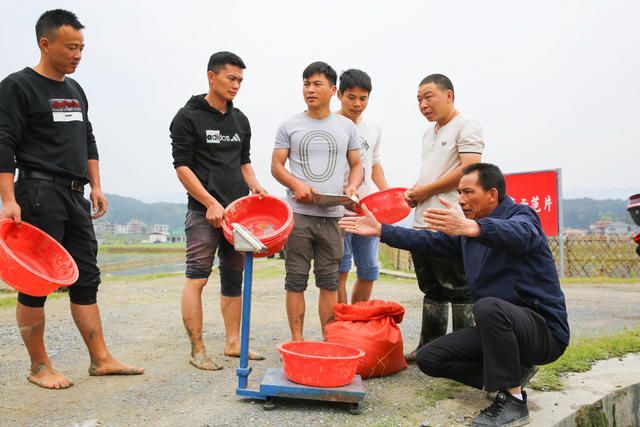 农业 农村 农民 新农民 青年农民