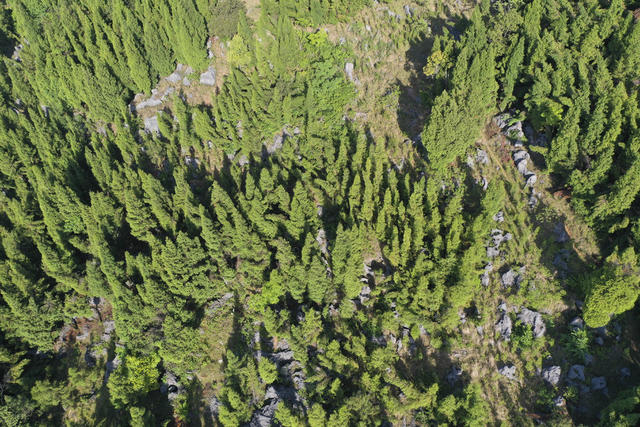 石漠化治理 石漠化 护林员 绿水青山 金山银山 环境