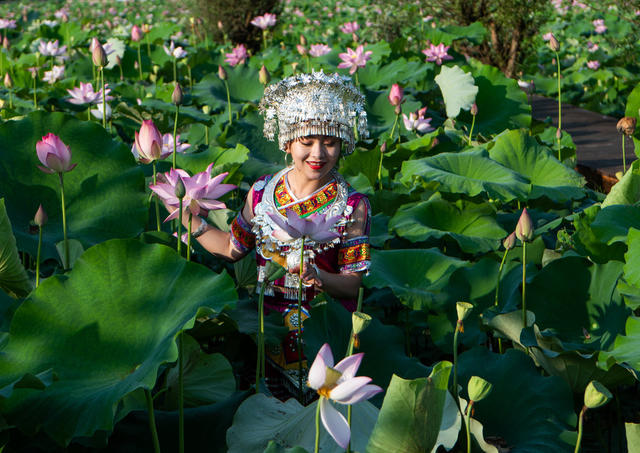 少数民族  侗族  姑娘  小伙  荷花