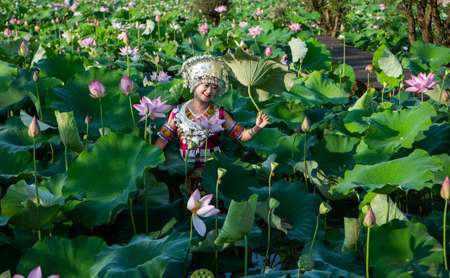 少数民族  侗族  姑娘  小伙  荷花