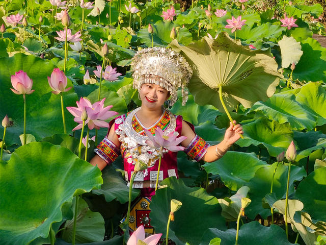 少数民族  侗族  姑娘  小伙  荷花