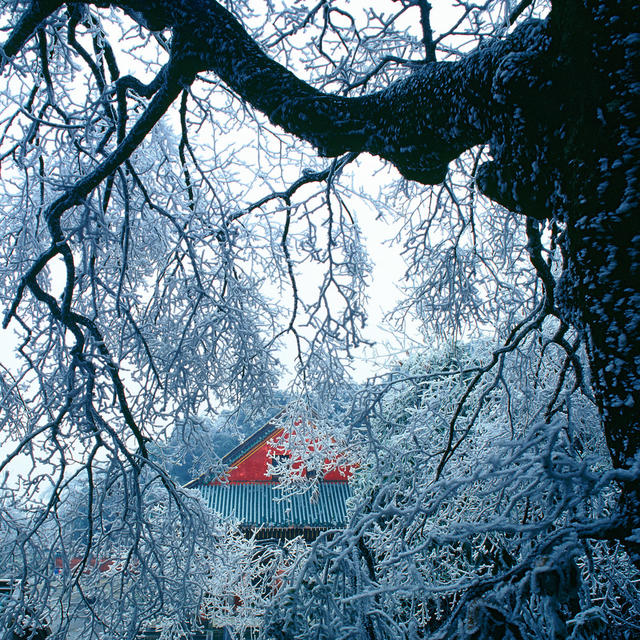 南岳衡山  雪景 雾凇 冰雪 藏经殿  寺庙 宗教 佛教 名胜古迹 历史文物 古建筑 无人 景点  旅游  自然  风光 反转片