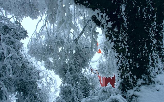 南岳衡山 衡山风光 藏经殿 冰雪 雾凇 寺庙  古建筑 旅游 名胜古迹   景点   佛教  宗教