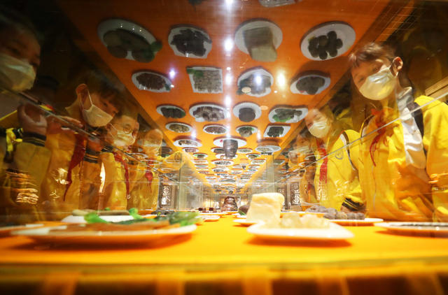 博物馆 奇石 环城南路小学