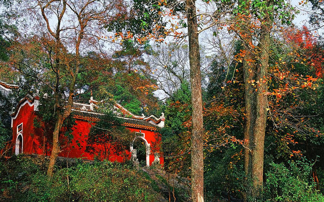 南岳衡山 衡山风光 黄庭观 道观 魏夫人  道教  古建筑 旅游 景点 秋天 枫叶  红叶 古树  历史文物 名胜古迹  旅行 