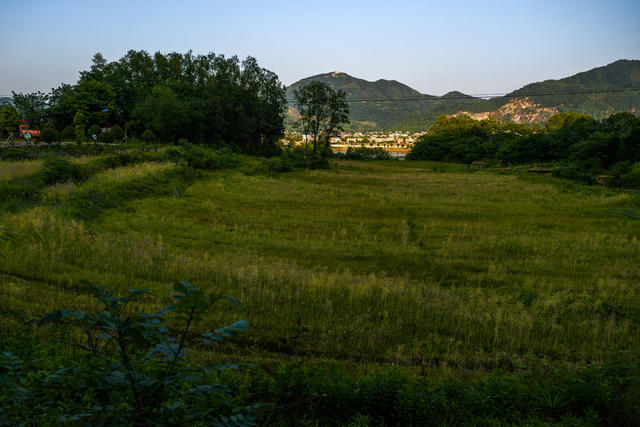 桥驿镇群力村