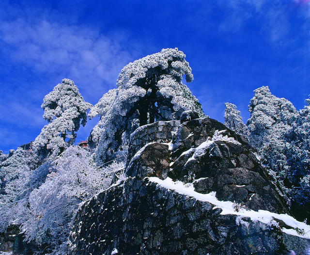 南岳衡山 衡山风光 高台寺 念庵松 上封寺 古树  古松  冰雪 雾凇 雪景 蓝天 白云 天空 户外 无人 岩石  花岗岩 雪松  雪狮  景点 旅行 旅游 风景名胜 