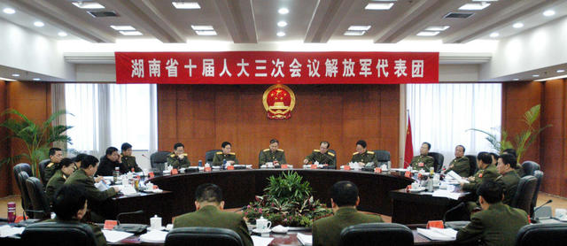 湖南省十届人大三次会议代表审议报告