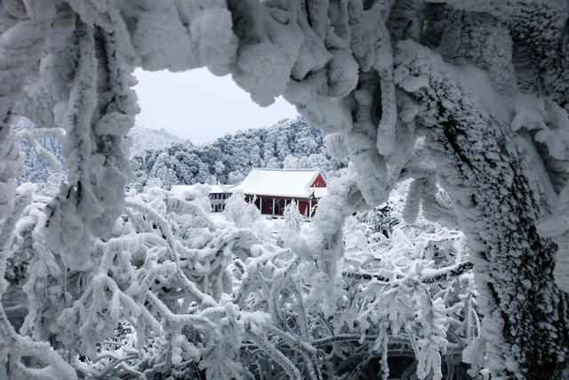 5a景区 南岳衡山 衡山风光 藏经殿 冰雪 雾凇 雪景 寺庙 佛教 宗教 古建筑 历史 风景名胜 名胜古迹 户外 无人 安静 冬季 寒冷 森林 植被 景点 