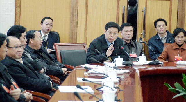 湖南省十届人大三次会议代表审议报告