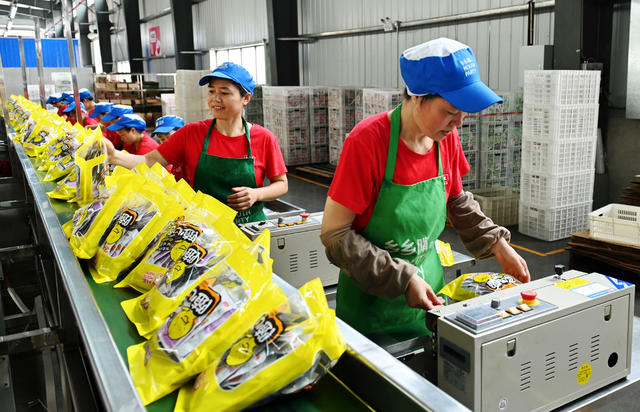 农产品加工 农副产品 企业 生产 食品 劳动就业 农民增收 农产品升值