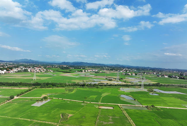初夏 田园 美 衡东 霞流 