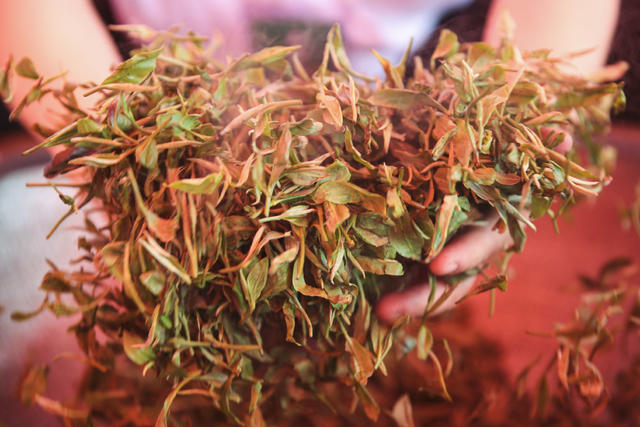 非遗
茶产业
茶艺
手工制茶
增收
茶文化
技能竞赛