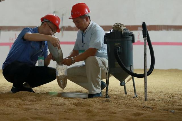 粮食 储备 扦样 检测 标准 质量 安全