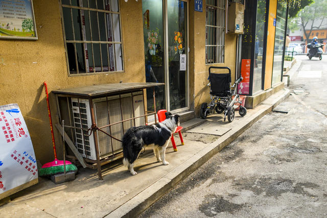 龙王宫