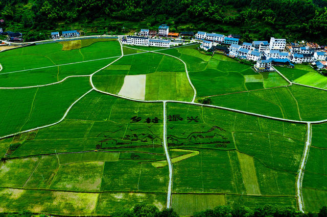 绿水青山 交通 公路 农村公路