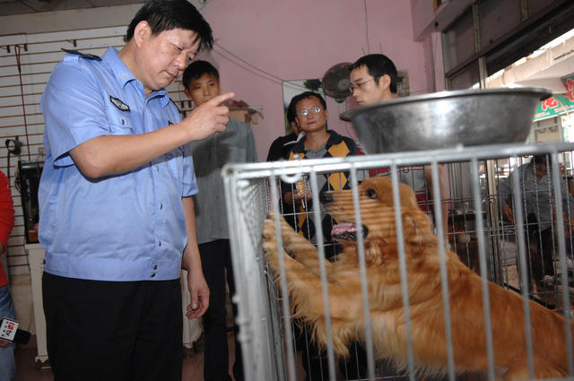 无证  养狗  宠物狗