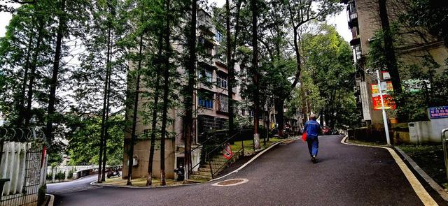 株洲市石峰区美景
