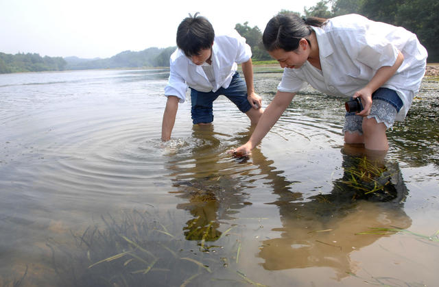 湘江支流   水质  浏阳河  环境监测