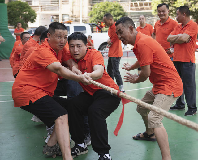 职工 体育 娱乐 拔河 文化 凝聚力 表情