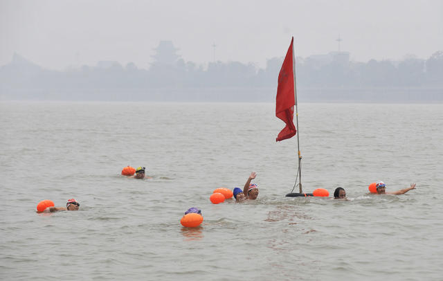 冬泳  湘江  游泳