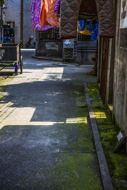 胡家菜园