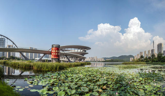 全景
