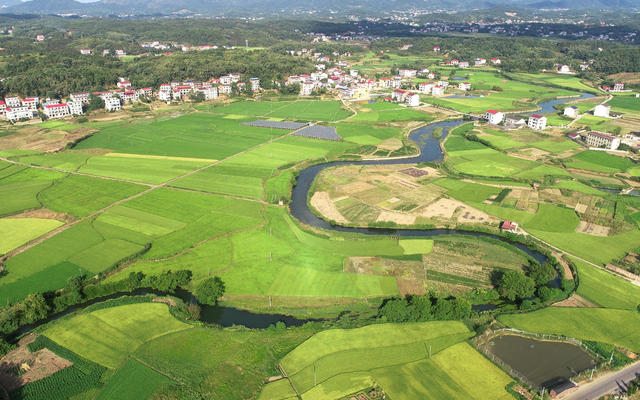 初秋  美景 乡村 田园  河流 稻田 农业农村 