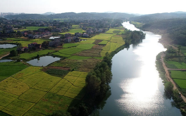 初秋  美景 乡村 田园  河流 稻田 农业农村 