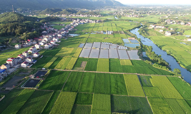 高标准农田  粮食生产  抗旱  水利设施建设   农业农村  乡村美景  河流  秋天 
