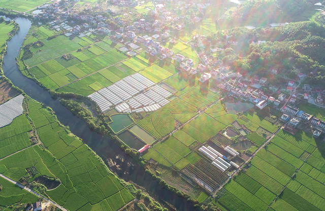 高标准农田  粮食生产  抗旱  水利设施建设   农业农村  乡村美景  河流  秋天 
