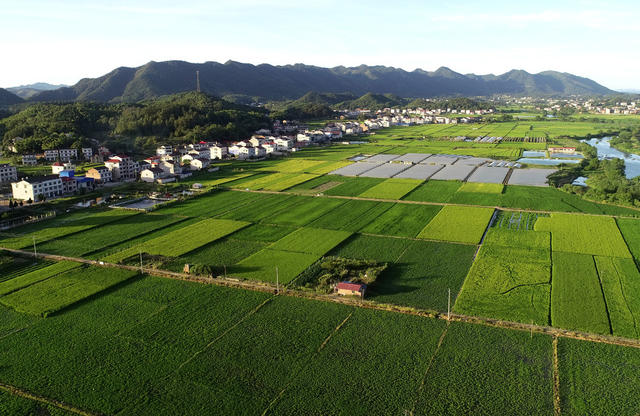 高标准农田  粮食生产  抗旱  水利设施建设   农业农村  乡村美景  河流  秋天 
