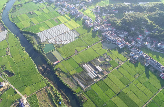 高标准农田  粮食生产  抗旱  水利设施建设   农业农村  乡村美景  河流  秋天 
