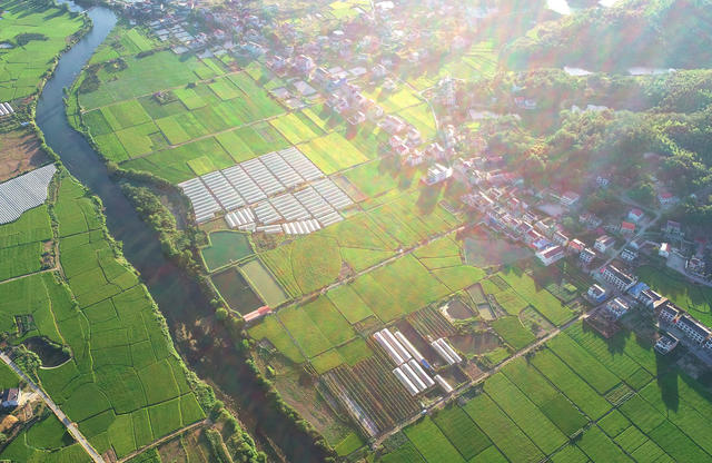 高标准农田  粮食生产  抗旱  水利设施建设   农业农村  乡村美景  河流  秋天 
