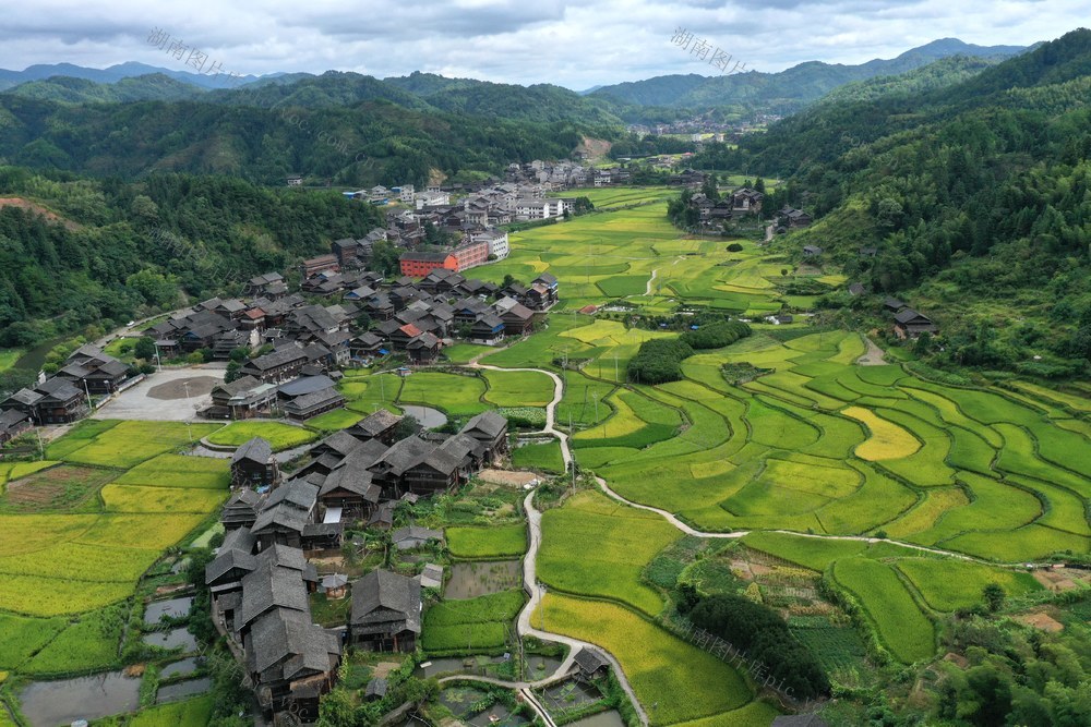 好丰景 好产业 助推乡村振兴