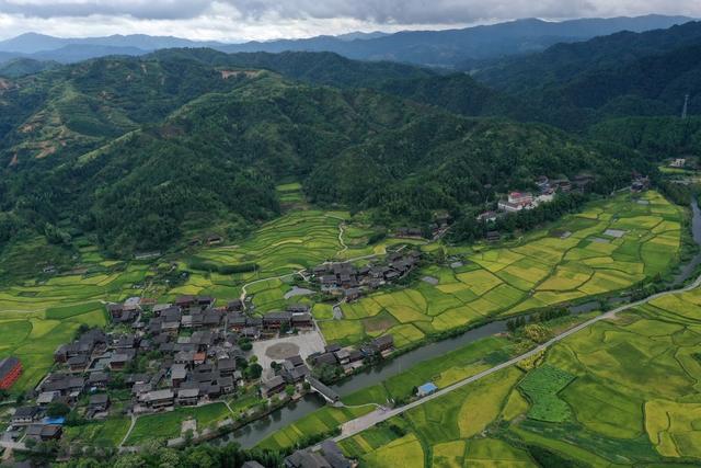 好丰景 好产业 助推乡村振兴