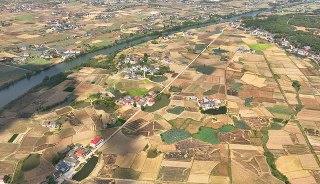 丰收 田野 景色